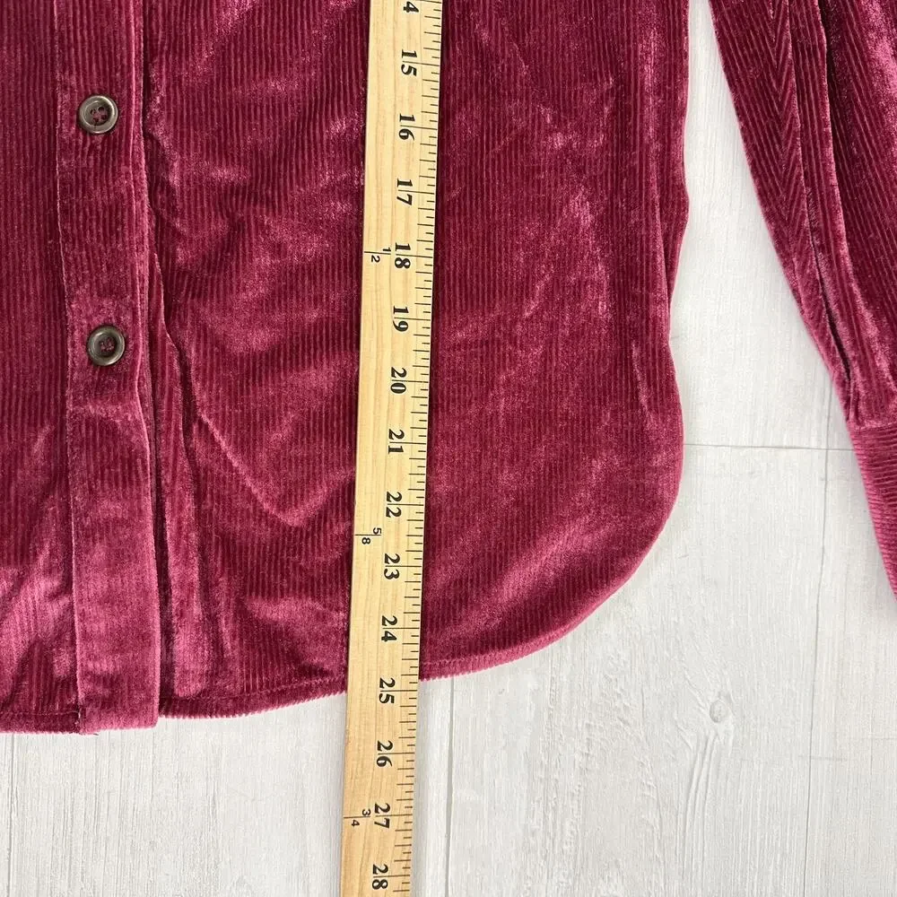 Free People Kit Kat Velour Long Sleeve Top XS Fairytale Pink Velvet Retro Whimsy
